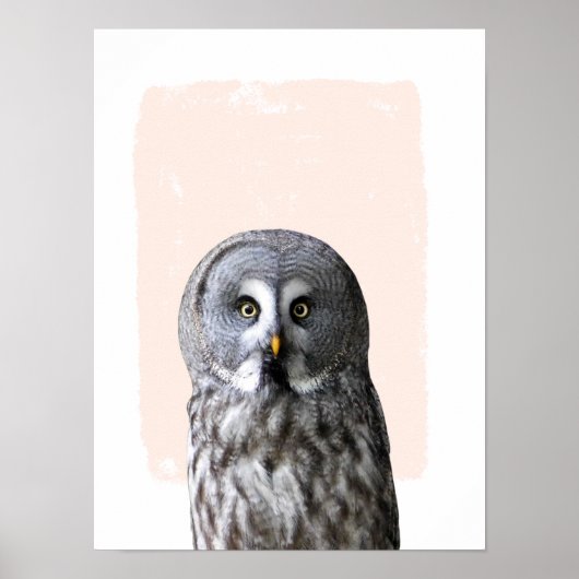 Uil kinderkamer muur kunst dier portret poster (Voorkant)