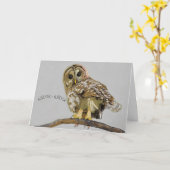 Uil Knock - Dingen van je kloppen Kaart (Gele Bloem)