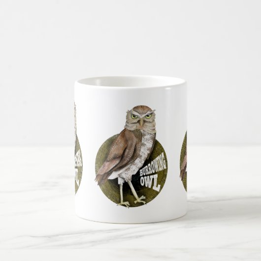 Uil Koffiemok (Center)