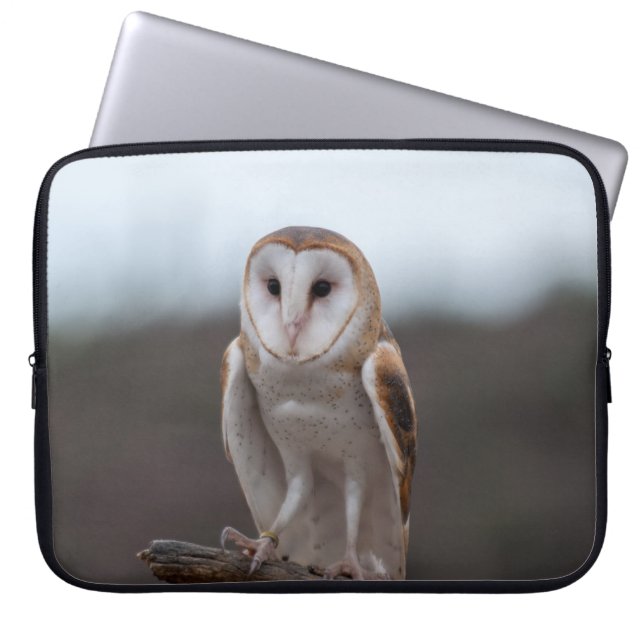 Uil Laptophoes Laptop Sleeve (Voorkant)