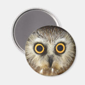 uil magneet (Voorkant / Achterkant)