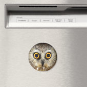 uil magneet (Insitu (Vaatwasser))