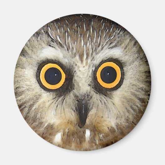 uil magneet (Voorkant)