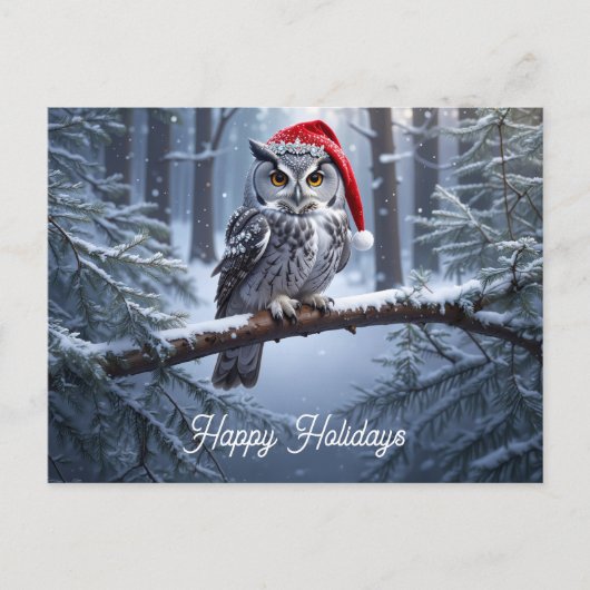 Uil met kerstmuts briefkaart (Voorkant)