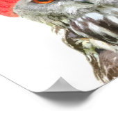 Uil met muts grappig dier portret poster (Hoek)