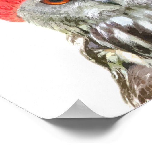 Uil met muts grappig dier portret poster (Hoek)