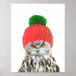 Uil met pet grappig dierportret poster
