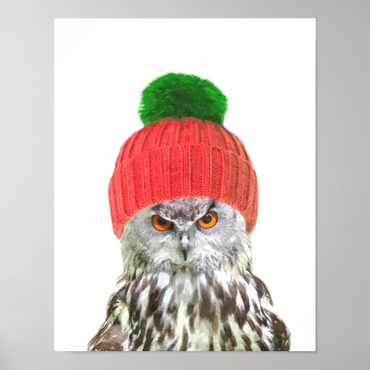 Uil met pet grappig dierportret poster (Voorkant)