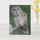 Uil met spalk (Strix varia) Kaart (Gele Bloem)