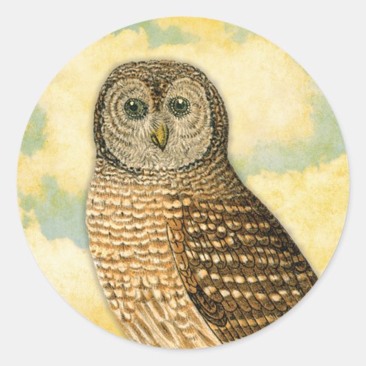  Uil met Wolken Ronde Sticker (Voorkant)