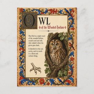 Uil, Middeleeuwse Bestiarium Kunst Briefkaart