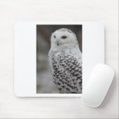 Uil Muismat (Met muis)