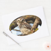 Uil nestelen ovale sticker (Envelop)