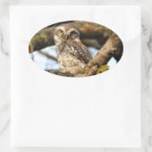 Uil nestelen ovale sticker (Tas)