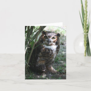Uil Notecard Kaart