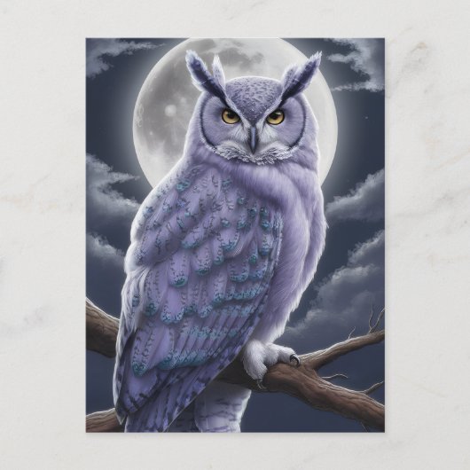 Uil onder maanlicht briefkaart (Voorkant)