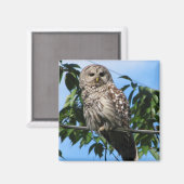 Uil op draad magneet (Voorkant / Achterkant)