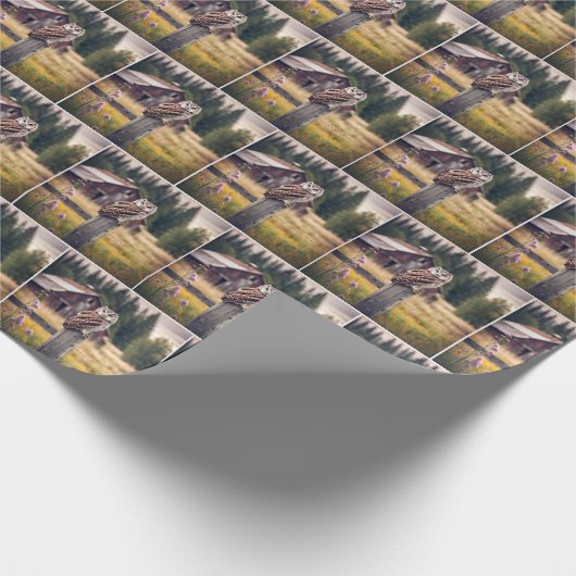 Uil op hek post cadeaupapier (Hoek)