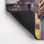 Uil op hek post muismat (Hoek)