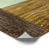 Uil op herfst esdoorn boom ontwerp - Amazing Bird Poster (Hoek)