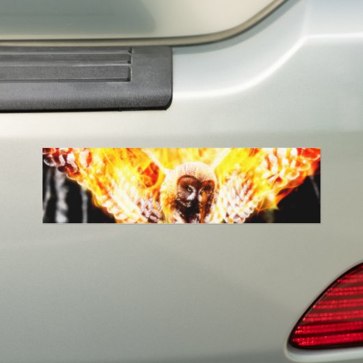 Uil Phoenix Bumpersticker (Op auto)