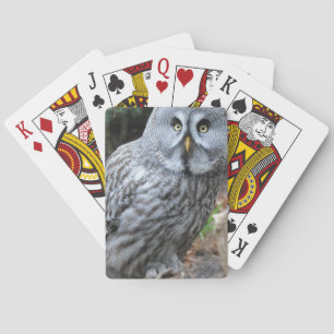 Uil Portret Foto Pokerkaarten