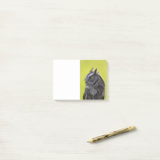 Uil Post het merkt op Post-it® Notes (Op bureau)