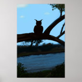 Uil Poster (mat) (Voorkant)