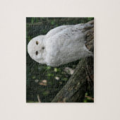 Uil Puzzel (Verticaal)