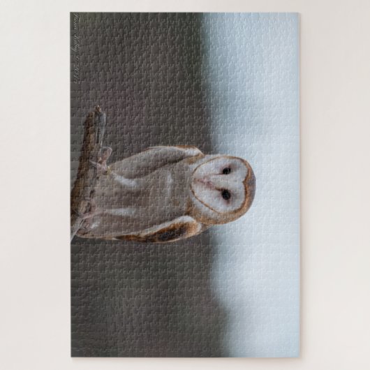 Uil Puzzel (Verticaal)