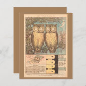  uil schattige herfst kinderen ambacht blauw bruin (Voorkant / Achterkant)