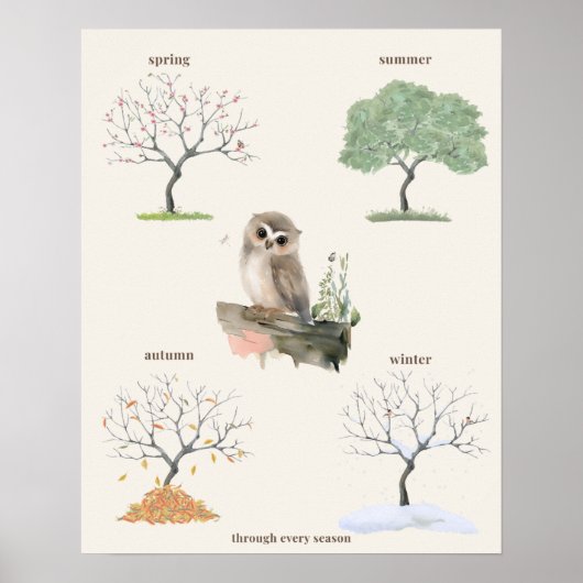 Uil Seizoenen Poster (Voorkant)