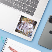 Uil Sticker (Laptop met iPhone)