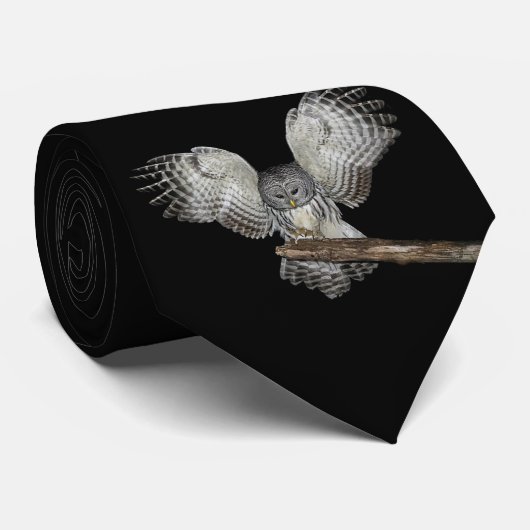 Uil Stropdas (Opgerold)