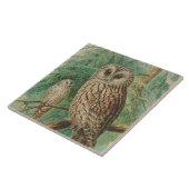  uil tegeltje (Zijkant)