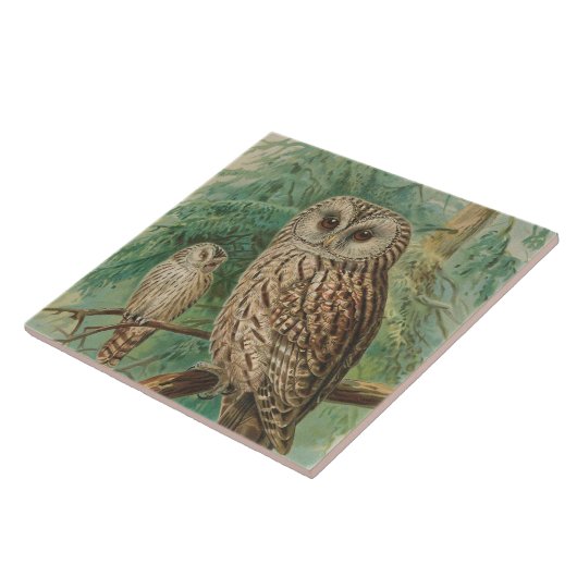 uil tegeltje (Zijkant)