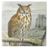  uil tegeltje (Voorkant)