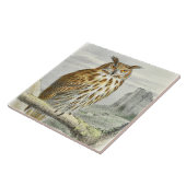  uil tegeltje (Zijkant)