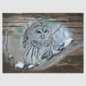 Uil Tissuepapier (Voorkant)