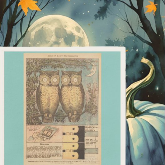 Uil uit de oude doos, leuke herfst kinderambacht i servet