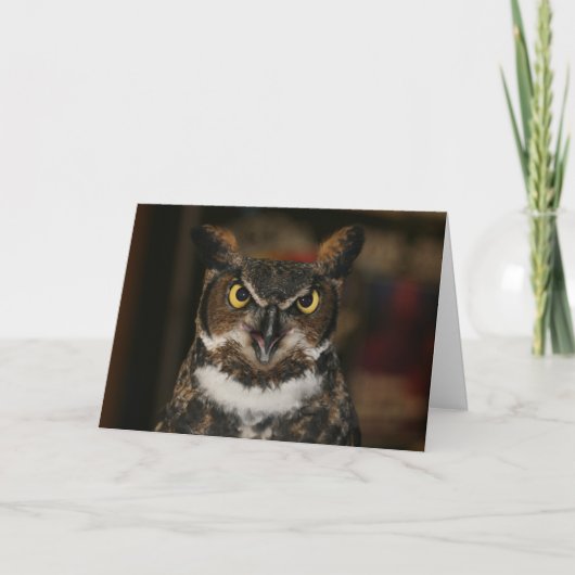 Uil Vaderdag Kaart (Voorkant)