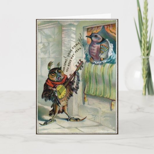  Uil Valentijnsdag Kaart (Voorkant)