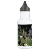 Uil van het Lot van mod. de Elegante Elegante Waterfles (Links)