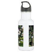 Uil van het Lot van mod. de Elegante Elegante Waterfles (Achterkant)