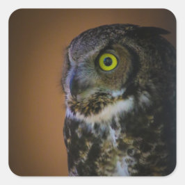 uil vierkante sticker