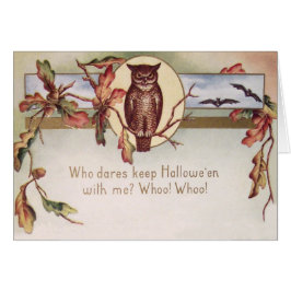 Uil Vleermuis Herfst Kleur Bladeren Blad