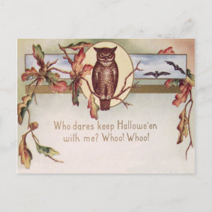 Uil Vleermuis Herfst Kleur Bladeren Blad Briefkaart