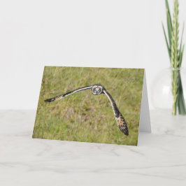 Uil vliegt naar jou kaart