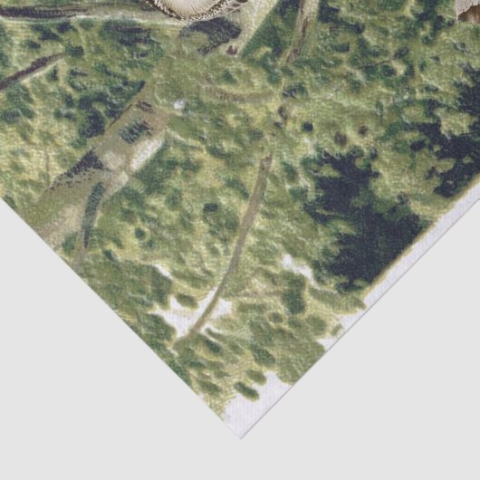  Uil Vogel Bos Berkenboom Bossen Decoupage Tissuepapier (Detail)