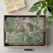  Uil Vogel Bos Berkenboom Bossen Decoupage Tissuepapier (Geschenk)